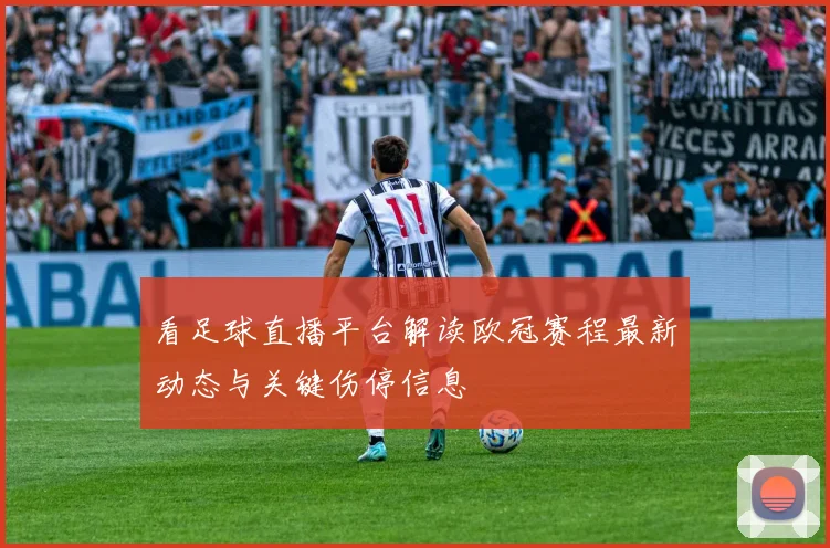 看足球直播平台解读欧冠赛程最新动态与关键伤停信息