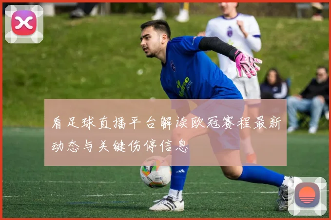 看足球直播平台解读欧冠赛程最新动态与关键伤停信息