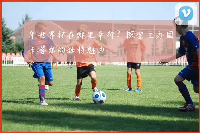 年世界杯在哪里举行？探索主办国卡塔尔的独特魅力
