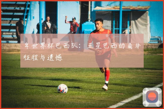 年世界杯巴西队：五星巴西的南非征程与遗憾