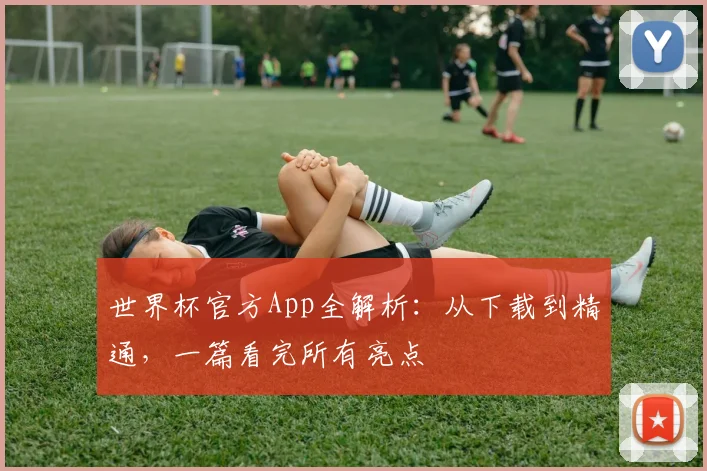世界杯官方App全解析：从下载到精通，一篇看完所有亮点