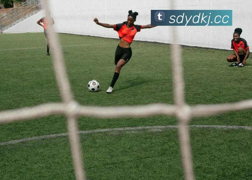 多媒体互动体验